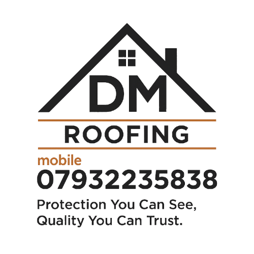 dm roofing logo upscaled transparent